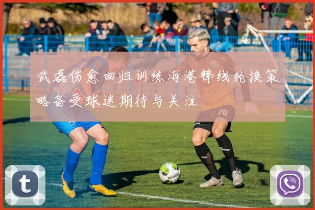 武磊伤愈回归训练海港锋线轮换策略备受球迷期待与关注